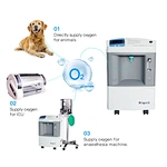 animal products anestesia machine veterinary
dog oxygen concentrator wholesale veterinary equipment products
veterinary instruments for branding pets oxygen chamber