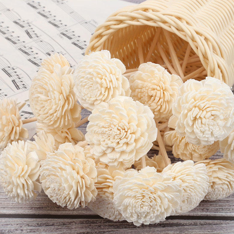 sola flower