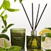 diffuser and candle gift set