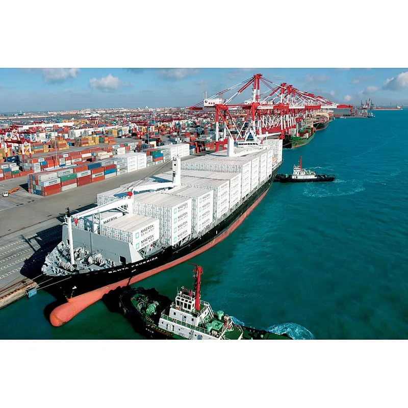 Logistics Services Freight Forwarder Sea Shipping From Shenzhen to British America