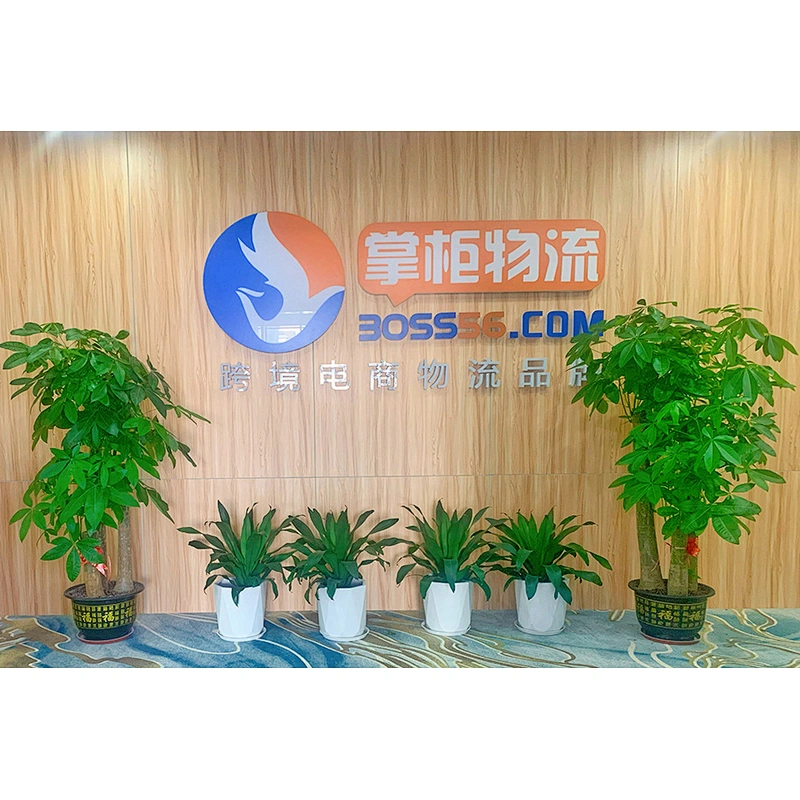 Worldwide Express Professional Logistics Shipping Agent Air Freight From China to USA