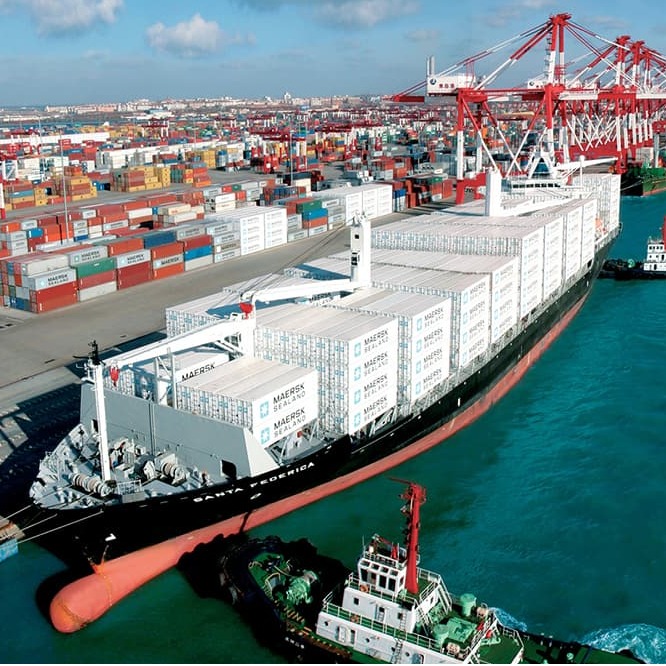 International Shipping Service/ Logistics / Shipping Forwarder/ Sea Freight From China to United States