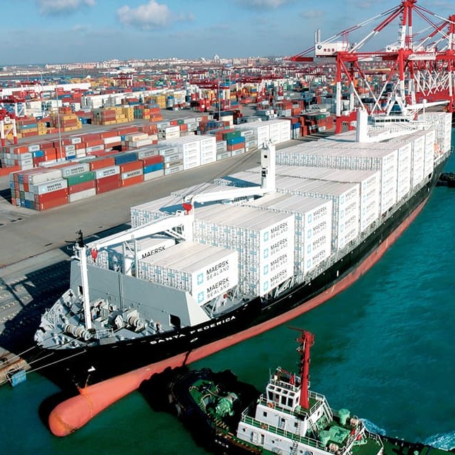 Sea Freight From China Guangzhou to India and America Professional Cheapest Fast Freight Shipping