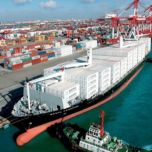 Sea Freight From China Guangzhou to India and America Professional Cheapest Fast Freight Shipping
