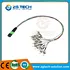 MPO MTP Fan-Out Patch Cord