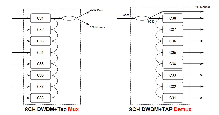 WDM in networking