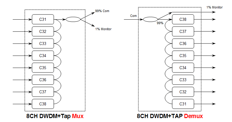 WDM in networking