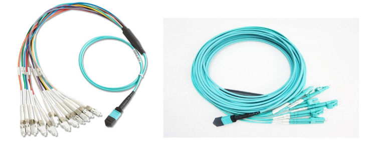 MPO MTP Fan-Out Patch Cord