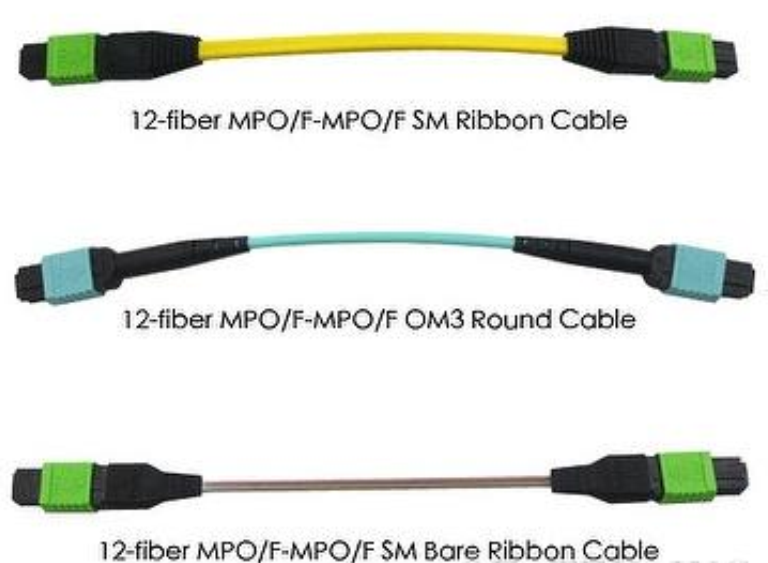 MPO MTP Fan-Out Patch Cord