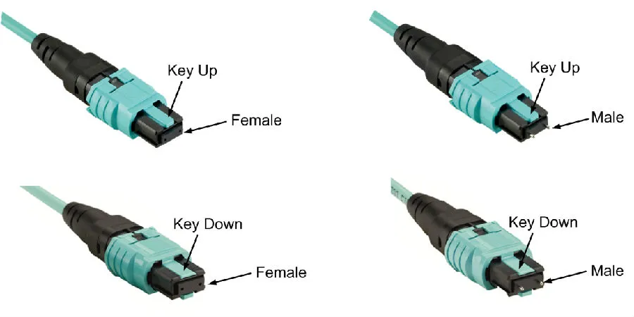 12 Core MPO to MPO Trunk Patch Cable 12 Core MPO To MPO Trunk Patch Cable