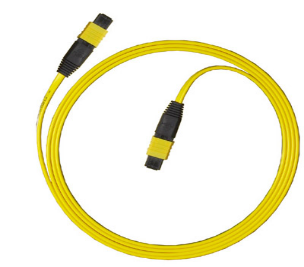 12 Core MPO To MPO Ribbon Patch Cable