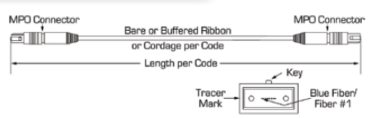 12 Core MPO To MPO Ribbon Patch Cable
