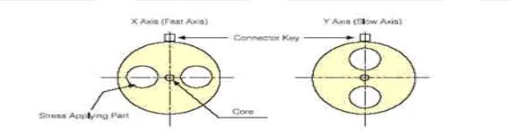 Polarization Maintaining Fiber Optic Patch Cord