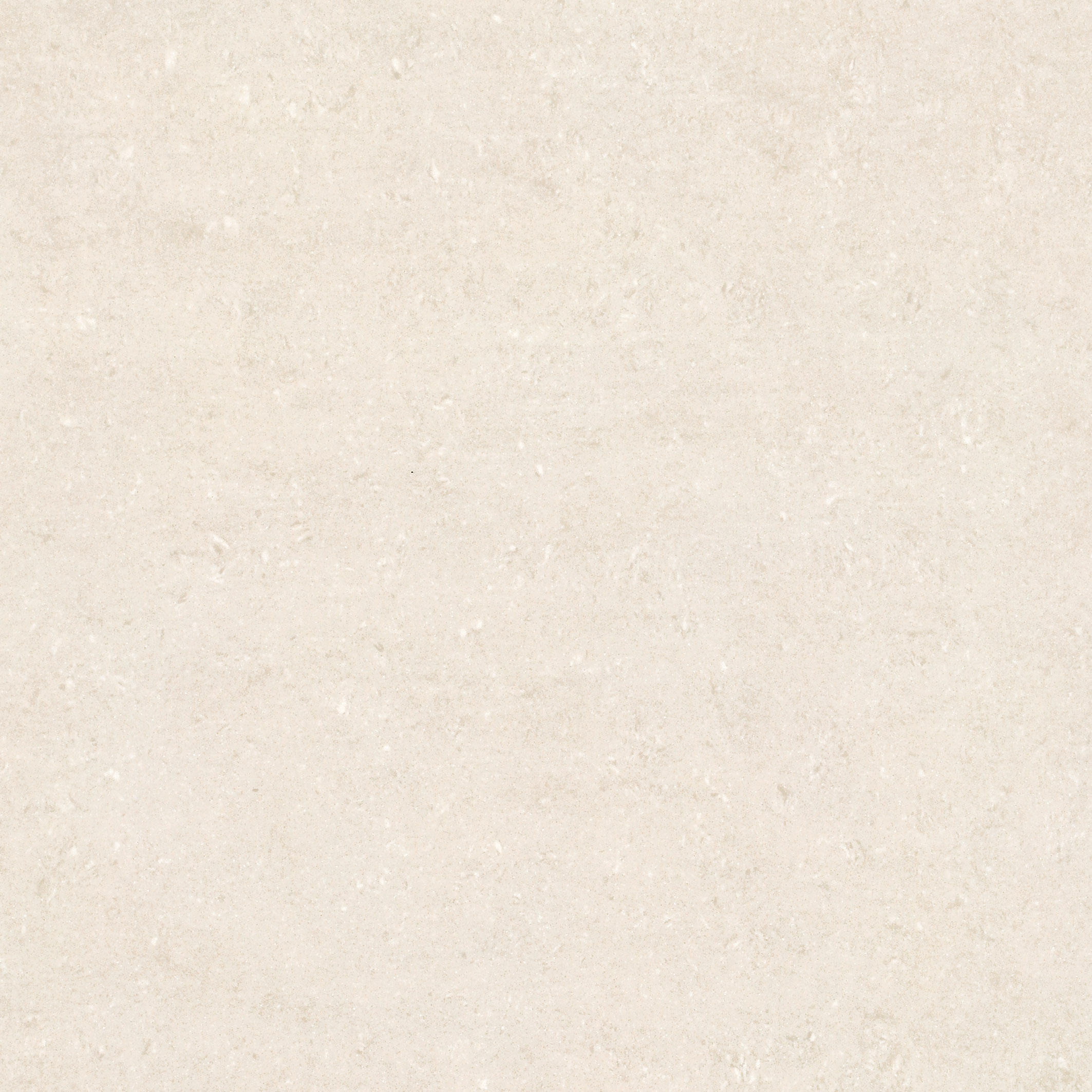 600x600mm white matt tiles