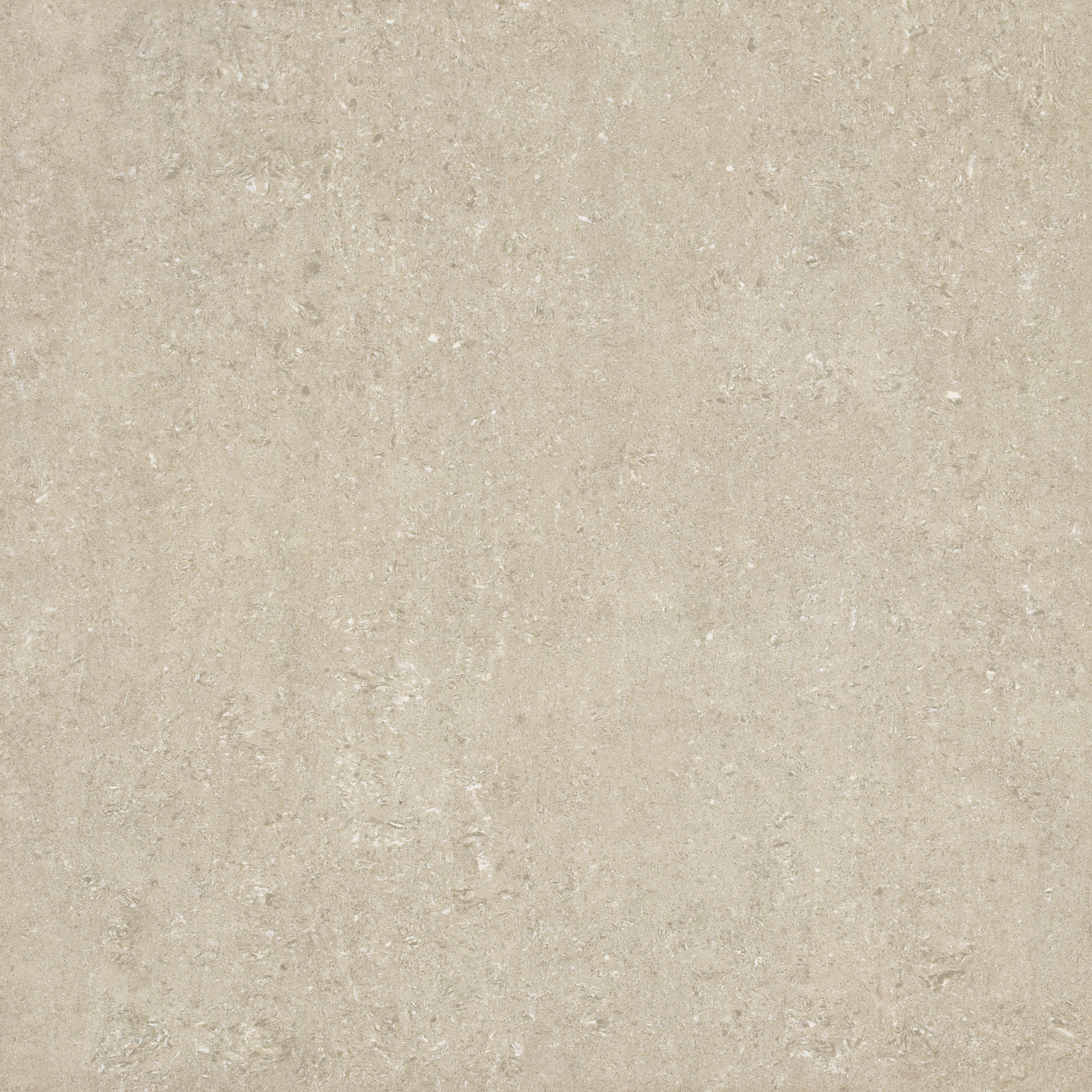600x600mm beige matt tiles