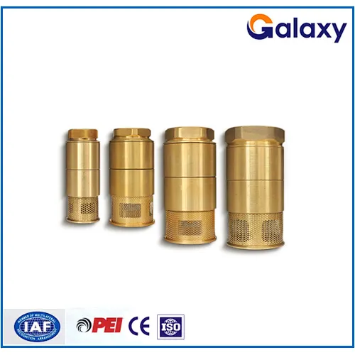 Foot valve,foot valve for oil tank,foot valve for oil pipeline,