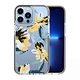 IML Impact Case