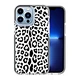 IML Impact Case