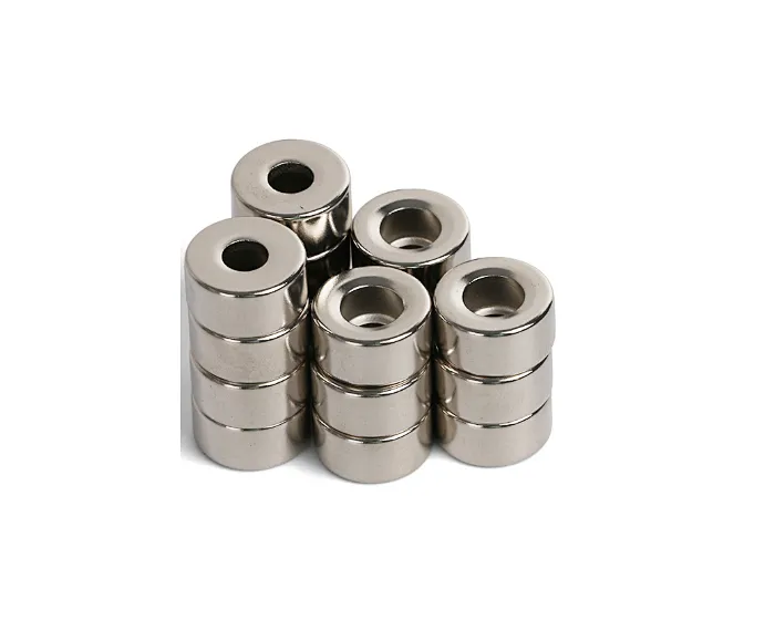 Neodymium magnet ring Magnet NdFeB magnet Permanent magent factory directly supply