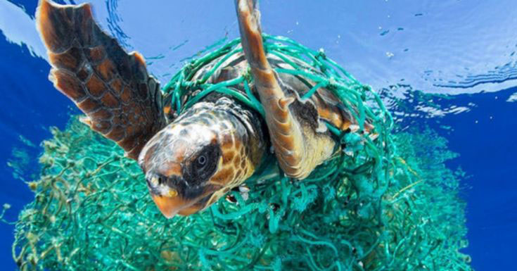 use recycled fabric and protect our world