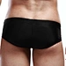 designer swim briefs