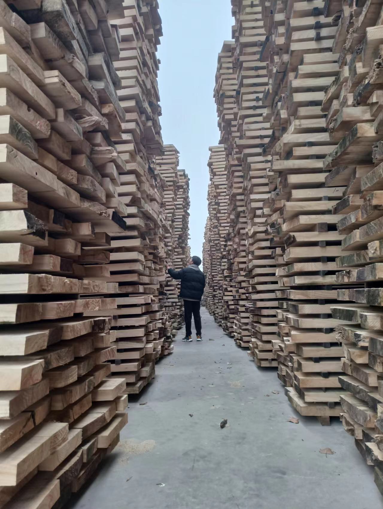 58mm thick large plate natural airing