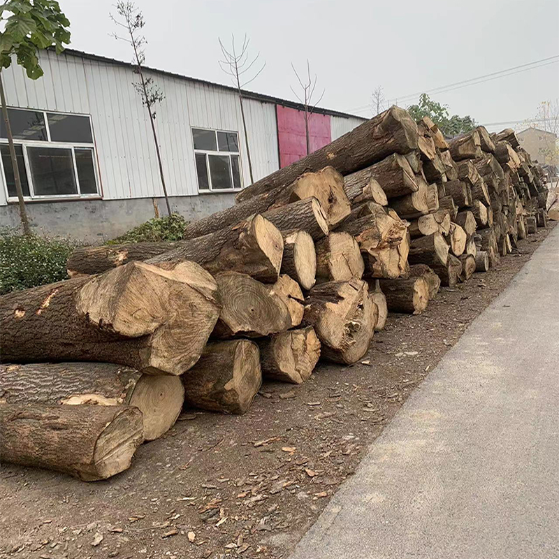 OEM factory