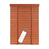 Electric system blinds