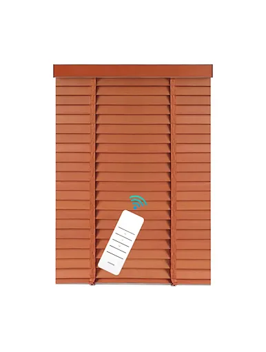 Electric system blinds