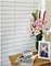 Paulownia Blinds
