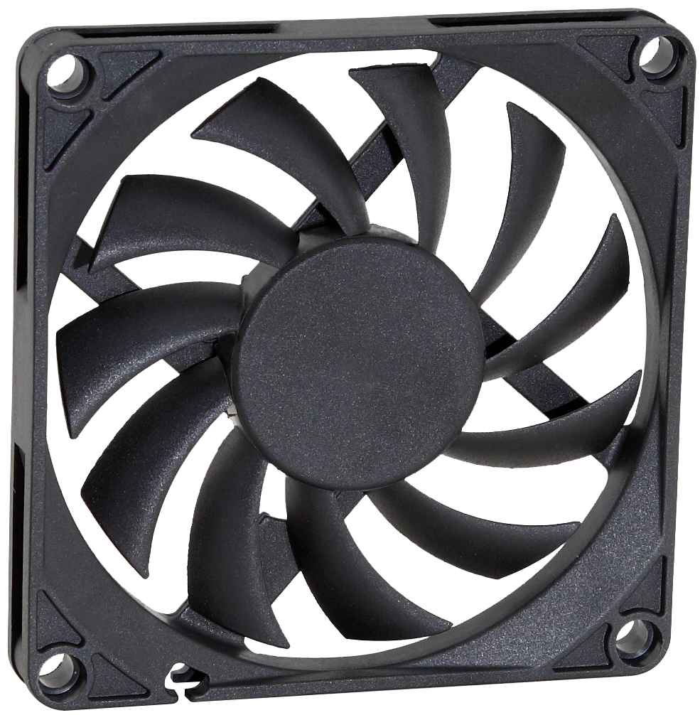 80 fan