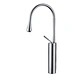 Bathroom Faucet