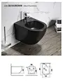Wall Mounted Toilet Bidet