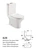 Wash Down Two Piece Toilet P-trap S-trap Dual Flushing Rimless Toilet