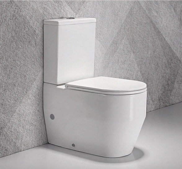 sanitary ware, toilet, best toilet brand, white toilet, two piece toilet, toilet bidet