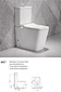 Wash Down Two Piece Toilet P-trap S-trap Dual Flushing Rimless Toilet