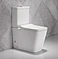 Wash Down Two Piece Toilet P-trap S-trap Dual Flushing Rimless Toilet