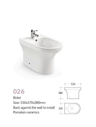 sanitary ware, toilets, white toilet, wall hung toilet, bidet toilet, toilet bidet
