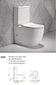 High quality ceramic human toilet western style  flushing two pieces