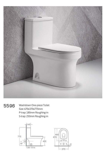 Wash Down Two Piece Toilet P-trap S-trap Dual Flushing Rimless Toilet