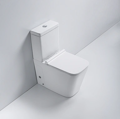 Hot selling modern Ceramic Washdown Two Piece Toilet - 867 Series