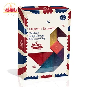DIY Educational Multi Color Magnetic Plastic Tangram for Kids SL13A047