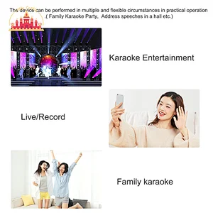 Factory Direct KTV Handheld Speaker Multifunctional Wireless Microphones SL07C003