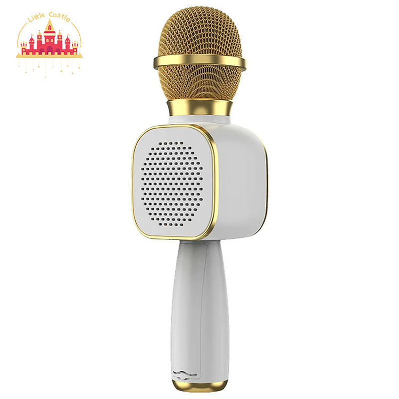 High Quality KTV Karaoke Speaker Portable Wireless Microphones For Singing SL07C002