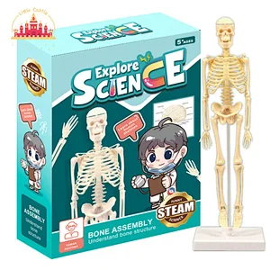 Children DIY Volcano Eruption Plastic Exploding Science Experiments Kit SL17A061