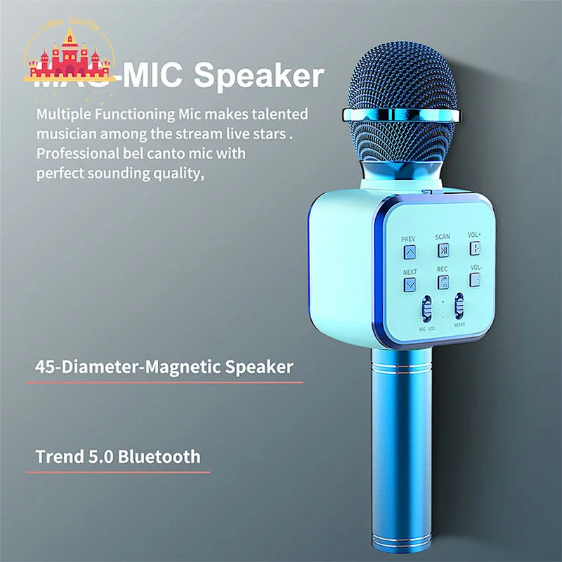 Factory Direct KTV Handheld Speaker Multifunctional Wireless Microphones SL07C003