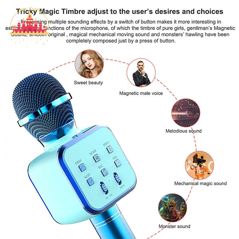 Factory Direct KTV Handheld Speaker Multifunctional Wireless Microphones SL07C003