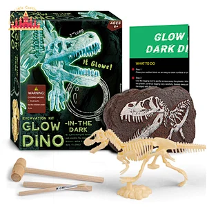 Handmade Tyrannosaurus Rex Luminous Dinosaur Fossil Kids Excavation Toy SL17A099