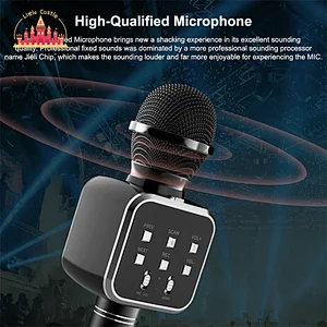 Factory Direct KTV Handheld Speaker Multifunctional Wireless Microphones SL07C003