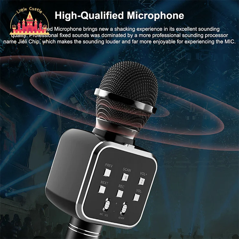 Factory Direct KTV Handheld Speaker Multifunctional Wireless Microphones SL07C003